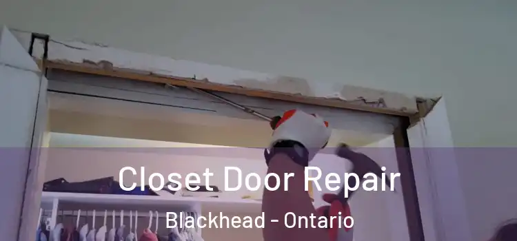 Closet Door Repair Blackhead - Ontario