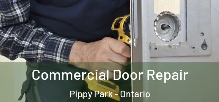 Commercial Door Repair Pippy Park - Ontario