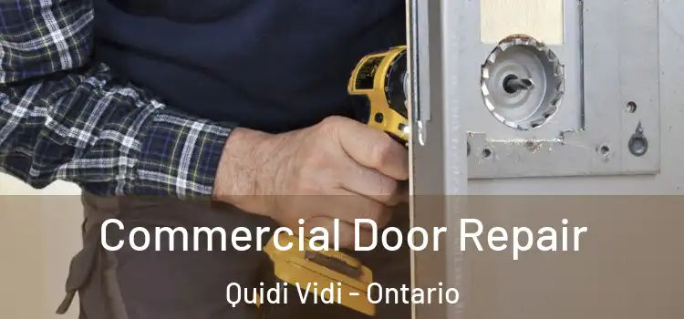 Commercial Door Repair Quidi Vidi - Ontario