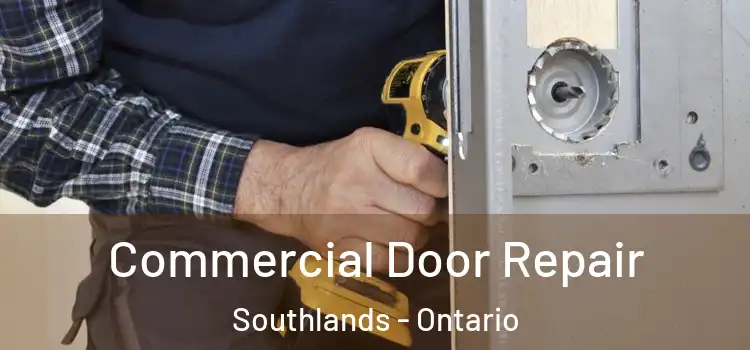 Commercial Door Repair Southlands - Ontario