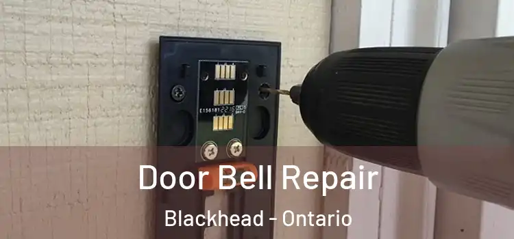 Door Bell Repair Blackhead - Ontario