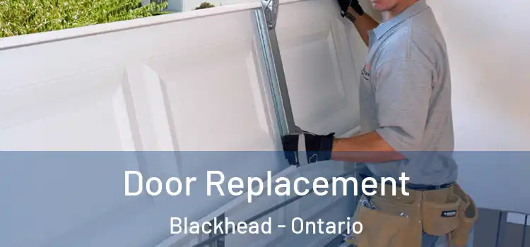 Door Replacement Blackhead - Ontario