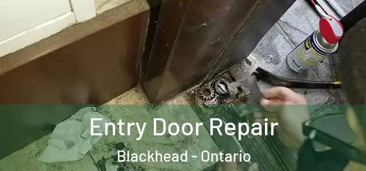 Entry Door Repair Blackhead - Ontario