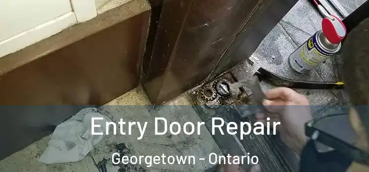 Entry Door Repair Georgetown - Ontario