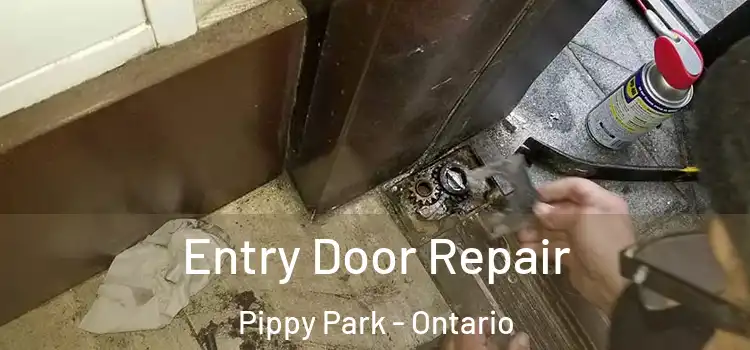 Entry Door Repair Pippy Park - Ontario