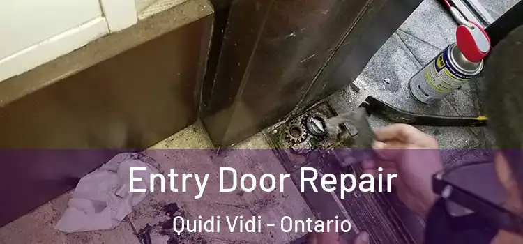 Entry Door Repair Quidi Vidi - Ontario