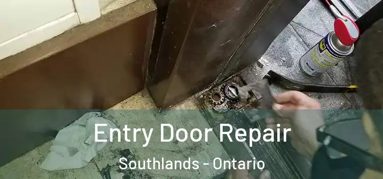 Entry Door Repair Southlands - Ontario
