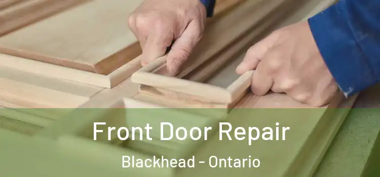 Front Door Repair Blackhead - Ontario