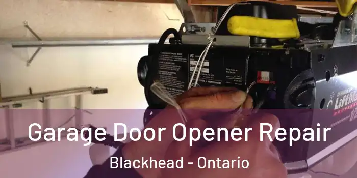 Garage Door Opener Repair Blackhead - Ontario