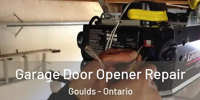 Garage Door Opener Repair Goulds - Ontario