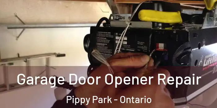Garage Door Opener Repair Pippy Park - Ontario