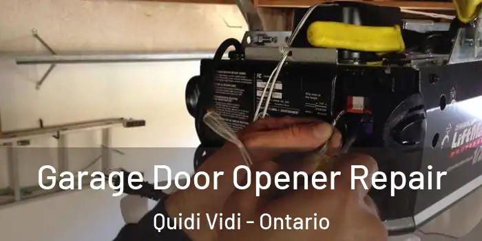 Garage Door Opener Repair Quidi Vidi - Ontario