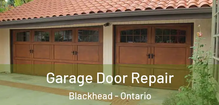 Garage Door Repair Blackhead - Ontario
