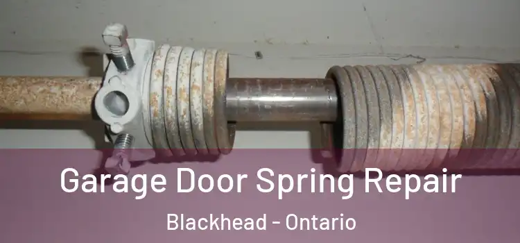 Garage Door Spring Repair Blackhead - Ontario