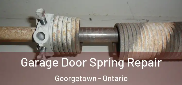 Garage Door Spring Repair Georgetown - Ontario