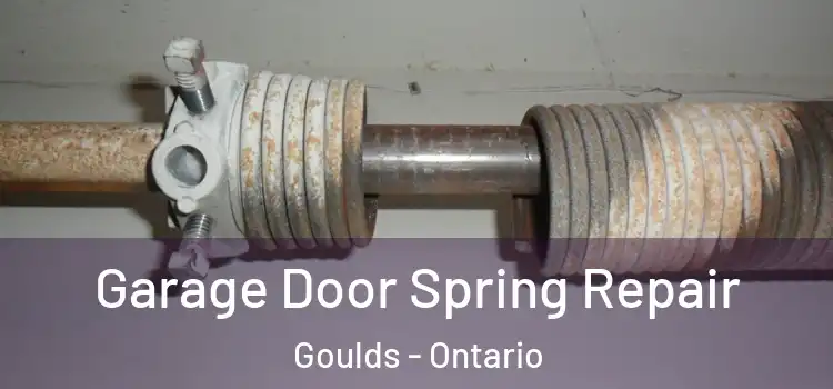 Garage Door Spring Repair Goulds - Ontario
