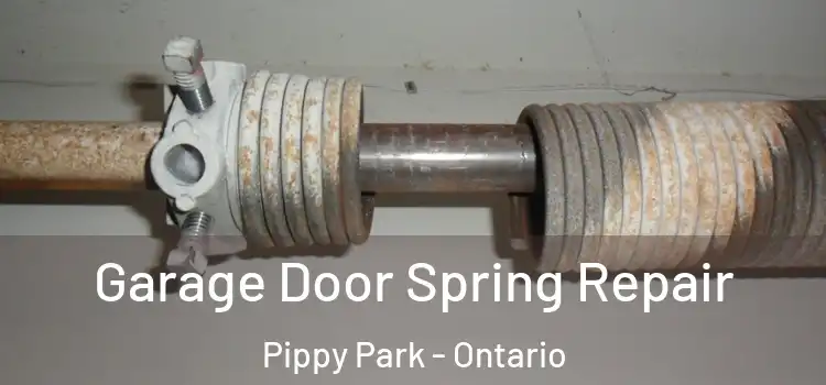 Garage Door Spring Repair Pippy Park - Ontario