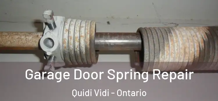 Garage Door Spring Repair Quidi Vidi - Ontario