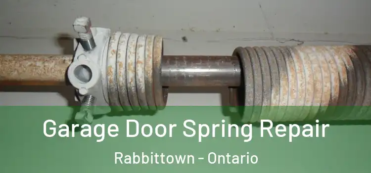 Garage Door Spring Repair Rabbittown - Ontario