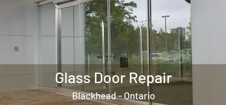 Glass Door Repair Blackhead - Ontario