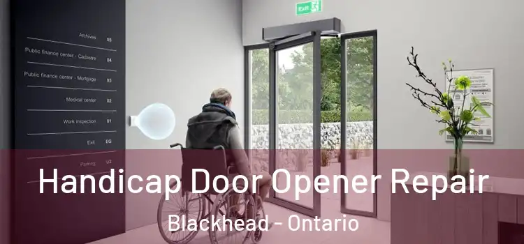 Handicap Door Opener Repair Blackhead - Ontario