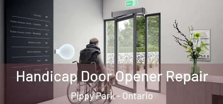 Handicap Door Opener Repair Pippy Park - Ontario