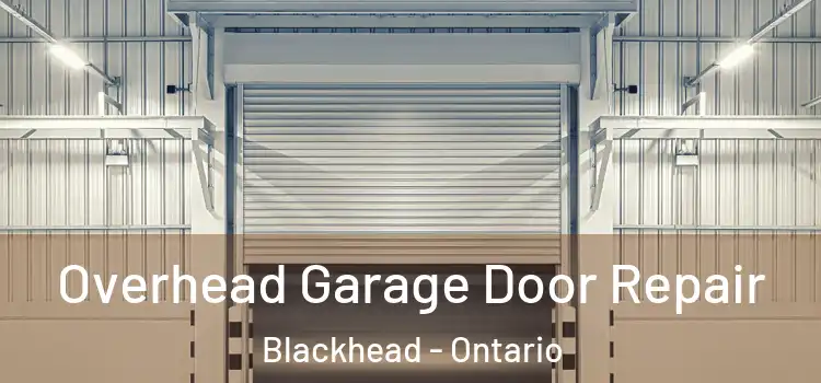 Overhead Garage Door Repair Blackhead - Ontario