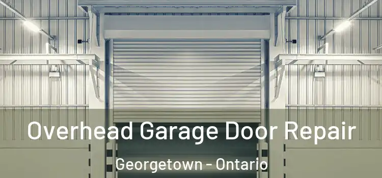 Overhead Garage Door Repair Georgetown - Ontario