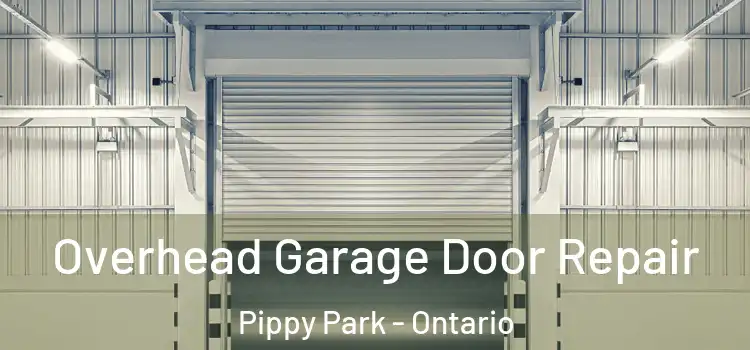 Overhead Garage Door Repair Pippy Park - Ontario