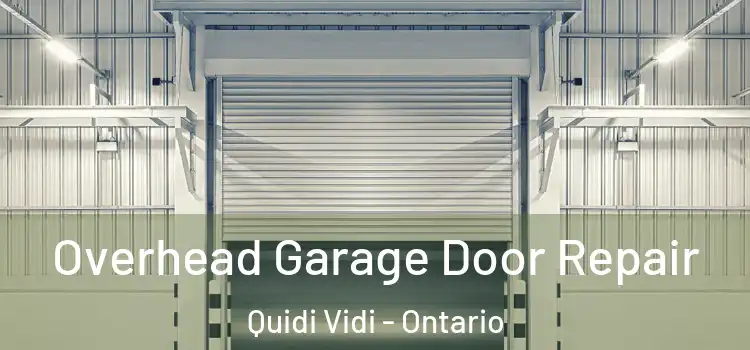 Overhead Garage Door Repair Quidi Vidi - Ontario