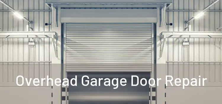 Overhead Garage Door Repair 