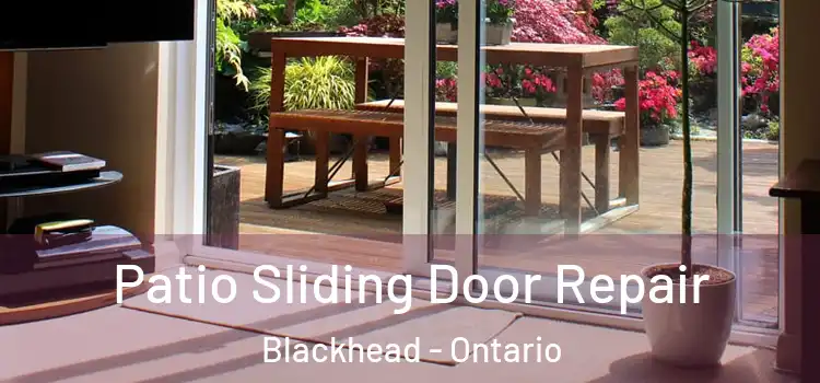 Patio Sliding Door Repair Blackhead - Ontario