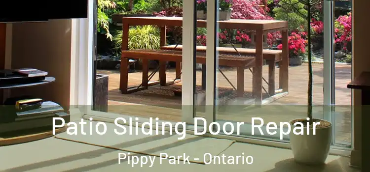 Patio Sliding Door Repair Pippy Park - Ontario