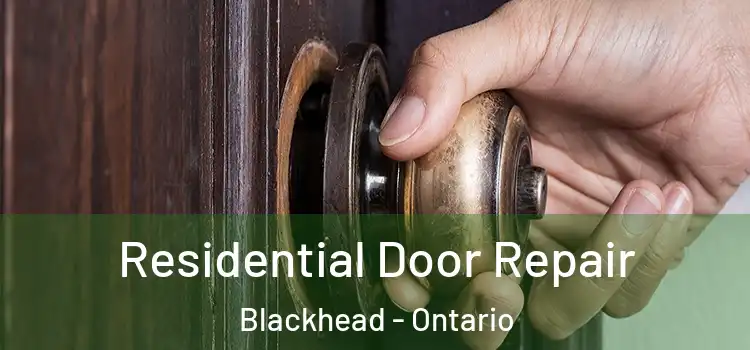 Residential Door Repair Blackhead - Ontario