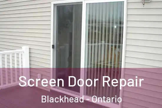Screen Door Repair Blackhead - Ontario
