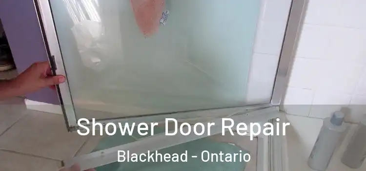 Shower Door Repair Blackhead - Ontario