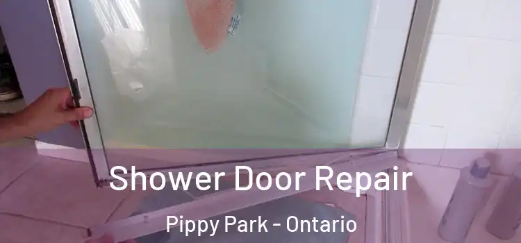Shower Door Repair Pippy Park - Ontario