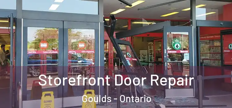 Storefront Door Repair Goulds - Ontario