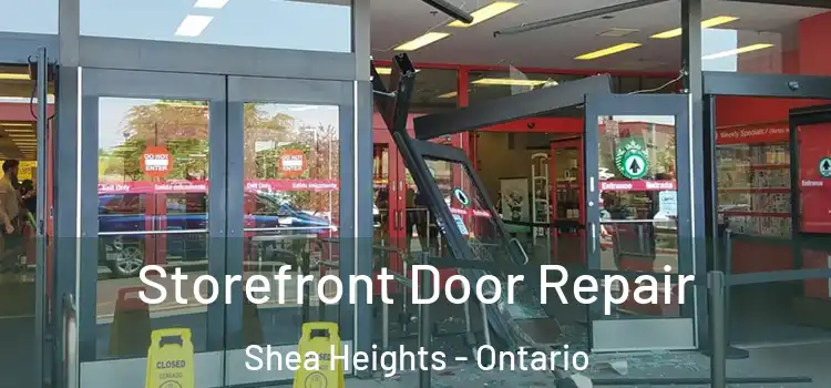 Storefront Door Repair Shea Heights - Ontario