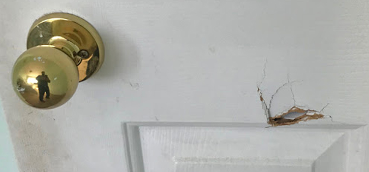 interior door hole repair St. John's