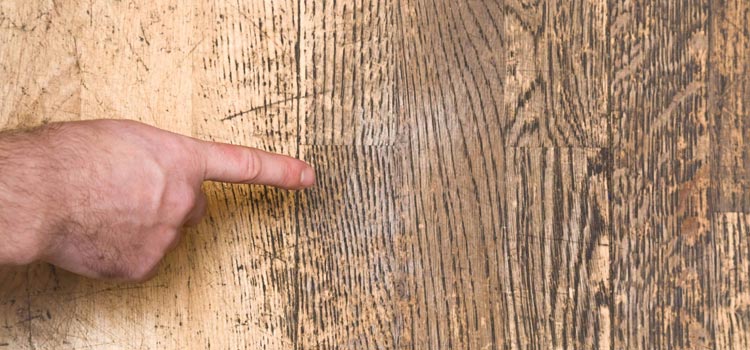 Wood Door Scratch Repair in St. John's